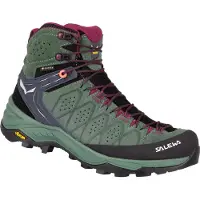 Salewa Schuhe WS Alp Trainer 2 Mid Gtx, 613835085