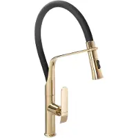 REA Küchenarmatur Castor Black/Gold