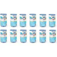Intex 29000 Filterkartusche Typ A 12 Stück für Schwimmbad 244 305 366 cm