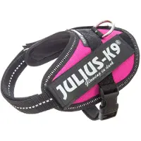 Julius-K9 Idc Power Baby Hundegeschirr