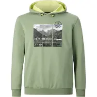 Jan Vanderstorm Kapuzensweatshirt "Sweatshirt JIRI", Herren, Gr. 3XL, grün, Obermaterial: 100% Baumwolle CO., Sweatshirts Kapuzensweatshirt