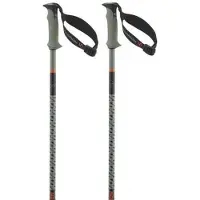 Salomon Polar Pro S3 Stöcke
