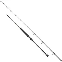 Penn Regiment IV Uptide Rod 3.04m 70-300g - Bootsrute