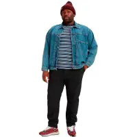 Levi's Chinohose PLUS "Chino XX STD TAPERED CHINO B&T", Herren, Gr. 40, Länge 34, schwarz, Obermaterial: 98% Baumwolle, 2% Elasthan, gerade, unten schmal lang, Hosen Chinohose, Sommerhose