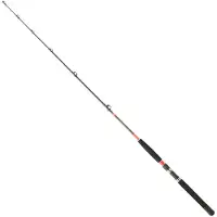 Daiwa Megaforce Trollingrute