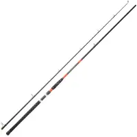 Daiwa Megaforce Big Fish Welsrute Silber 3.20 m / 100-300 g Silber 3.20 m