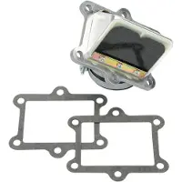 DMS Boyesen Honda Cr 250 00 Rad02d Carbon Ansaugmembranventil Silber Silber One Size