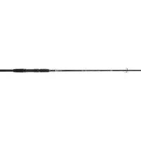 Cinnetic Sky Line Bass Evolution Spinnrute