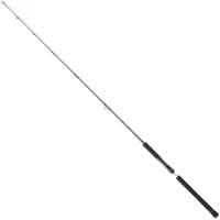 Daiwa Legalis Jiggingrute