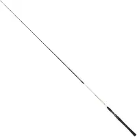 Renzo Valdieri Clear Bass Spinnrute