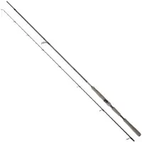 Daiwa Saltist Ags Iii Spinnrute