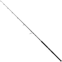 Penn Marine Brigade Offshore Spinnrute