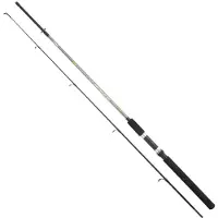 SERT Fish Instinctcast Spinnrute