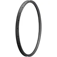 Specialized Control Sl 29´´ Disc 29 Mm Internal Felge