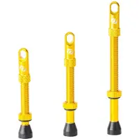 Syncros Tubeless Ventile