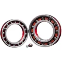 Zipp 61903 Ceramic Lager