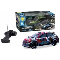Tachan R/c-auto Rally Extreme 1:16 24 Ghz Fernsteuerung