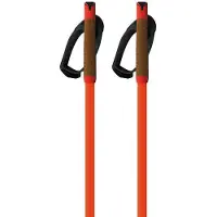 Fischer Storm Gtx L Stöcke