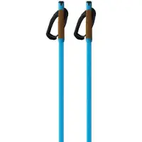 Fischer Storm Gtx L Stöcke