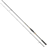Daiwa Morethan Branzino Expert Ags Spinnrute