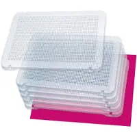 Miniland 6 Stifte Transparente Platten