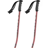 SCOTT Team Issue Gs Stöcke