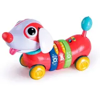 Tachan Regenbogenwelpe Mit Fernbedienung Und Aktivitäten Spanisch