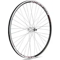 Gurpil Hinterrad für V/BR. Speichen aus Edelstahl XM-1