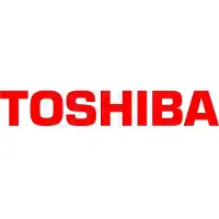 Toshiba 6AJ00000249, 17500 Seiten, Schwarz, 1 Stück(e)