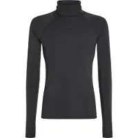 Icebreaker 300 Merinofine Polar Roll Neck Langarm-baselayer