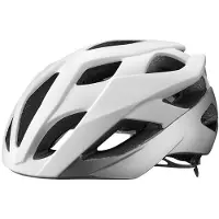 Giant Rev Elite Mips Helm