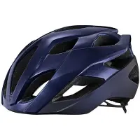 Giant Rev Elite Mips Helm