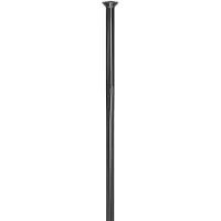 Dt Swiss Messerpeichen DT Revolite 2.0x1.3x306mm Kart.20 St. schwarz, Straightpull, Niro