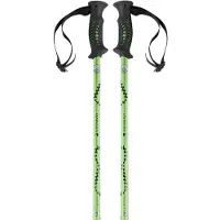 Ferrino Totem Stöcke Grün 65-135 cm Herren,Damen Grün 65-135 cm