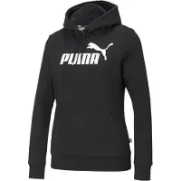Puma Essential Logo Kapuzenpullover