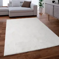 Paco Home Fellteppich "Kunstfell Soft 380", rechteckig, 14 mm Höhe, Langflor, Kuschelteppich - besonders weich, Uni-Farben