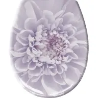 Kleine wolke WC-Sitz "Dahlia", lila (lvendel), B:37cm H:5cm L:45cm, Duroplast, WC-Sitze, WC-Sitz