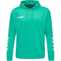 Hummel Hoodie hmlPROMO Poly