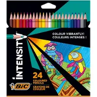 BIC Fall 24 Peppes Intely Colors