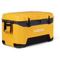 Igloo Coolers Bmx 68l Steife Tragbare Kühlbox