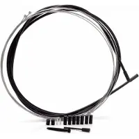 Campagnolo Schaltzug