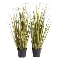 Botanic-Haus Kunstgras "Grasarrangement", bunt (grün, hellbraun), B:24cm H:48cm T:24cm Ø:24cm, Kunststoff, Kunstpflanzen, Kunstgras