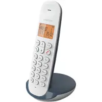 Logicom Schnurloses Festnetztelefon - - DECT ILOA 150 SOLO - Schiefer - Ohne Anrufbeantworter