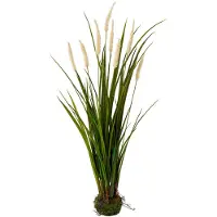 Creativ Green Kunstgras "Miscanthus im Erdballen", beige (creme), H:75cm, Obermaterial: 100% Polyethylen, Kunstpflanzen, Kunstgras