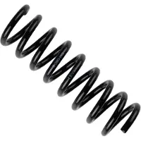 BILSTEIN Fahrwerksfeder 36-226023 Hinterachse für MERCEDES-BENZ