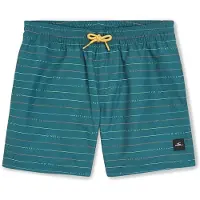 O'Neill Badehose Mix & Match Cali First 13 Inch Kinder Lily Pad First Name Stripe-Größe 116