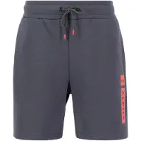 Alpha industries Shorts "Alpha Puff Print Short", Herren, Gr. 3XL, Normalgrößen, grau (vintage grau), Obermaterial: 80% Baumwolle, 20% Polyester, Hosen Shorts