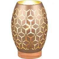 TRIO Braune Tischlampe Bidar