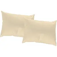 Wirth Dekokissen Gr. 1, beige (beige, unifarben), B:40cm L:40cm, Kunstfaser, Dekokissen_Sitzkissen_Kissenhüllen, Dekokissen, Kissenhülle ohne Füllung, 2 Stück