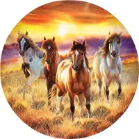 Sunsout Puzzle XXL Teile - Running in the Sun - 500 Teile